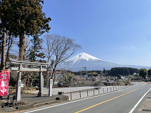 ̑
